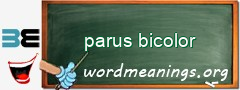 WordMeaning blackboard for parus bicolor